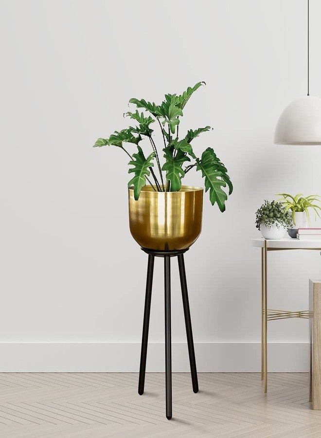TrustBasket Marcel Metal Plant Container (Gold) | Heavy Duty High Durable Floor Pot with Stand for Living Room, Indoor/Outdoor Balcony Home Decor - Image 1
