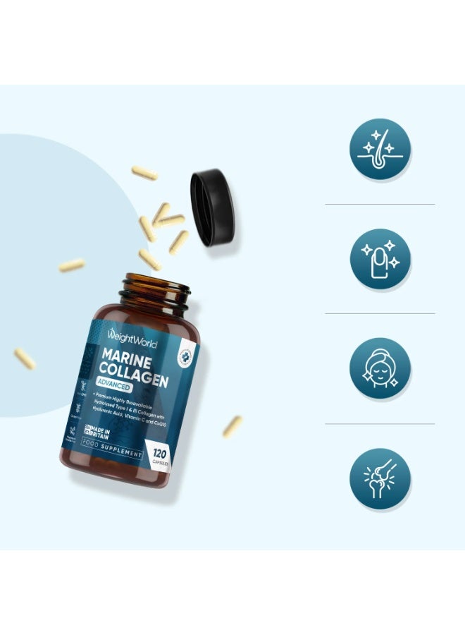 كولاجين بحري متقدم مع حمض الهيالورونيك 1455 ملغ – يدعم صحة الشعر والبشرة والأظافر، 120 كبسولة، صنع في المملكة المتحدة - Image 4