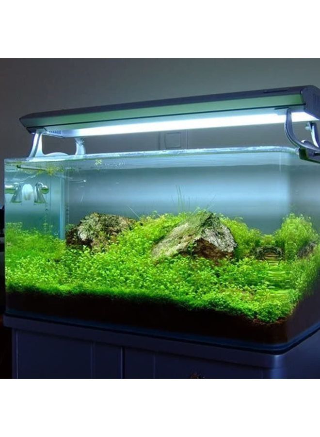 Aquarium Landscape Decoration Easy to Plant Seeds Gardening Home Decor 4 x 1000 pcs - Image 2