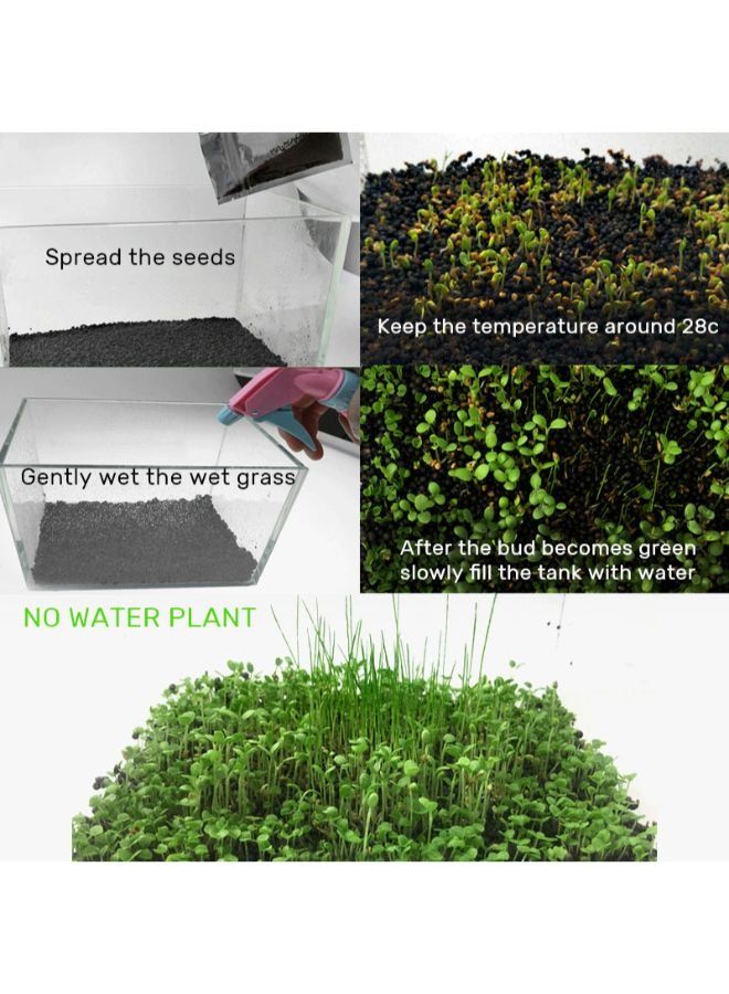 Aquarium Landscape Decoration Easy to Plant Seeds Gardening Home Decor 4 x 1000 pcs - Image 5
