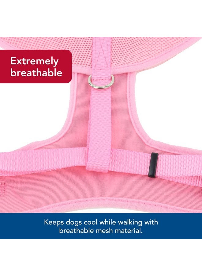 كوستال - حزام كلب مريح ناعم قابل للتعديل، لون وردي فاتح، 3/8 بوصة × 14 بوصة - 16 بوصة - Image 3