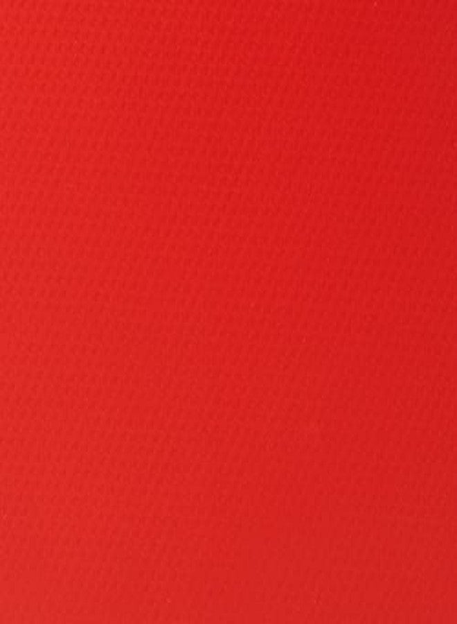 دي إتش أس مضرب تنس الطاولة S-S302 DHS مع كرة تنس الطاولة DHS 40 مم 3 نجوم برتقالي (علبة من 24 قطعة) - Image 5