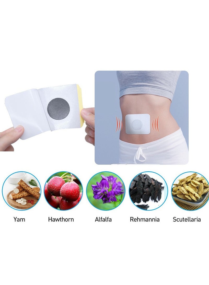 Sumifun Diabetic Patch- Health Care Paste,Reduce Blood Sugar,Herbal Treatment,Focus On Regulating Blood Circulation And Balancing Organ System To Improve Pancreatic Function 6  Patches  - Image 2