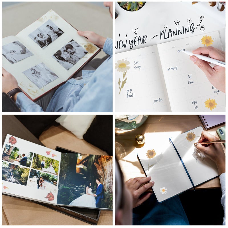 4Pcs Floral Scrapbook Stickers Set For DIY Scrapbooking Album And Travel Journal Decoration - Image 5