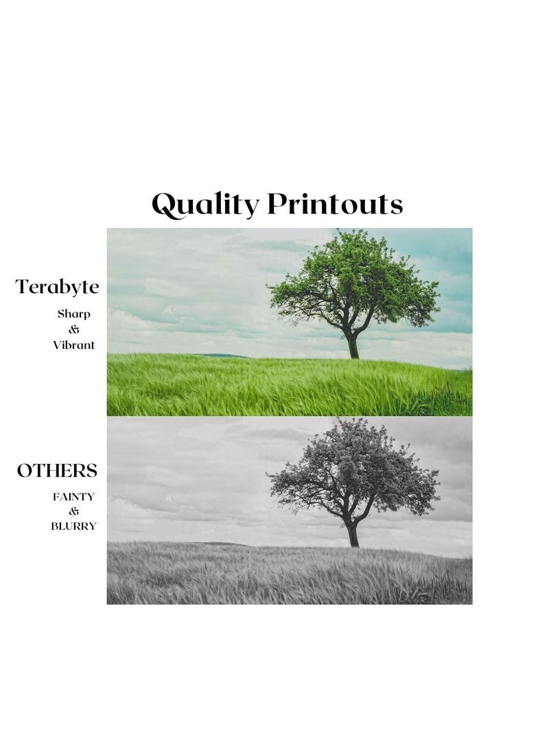 Terabyte TK3160 KYOCERA COMPATIBLE TONER TERABYTE - Image 2