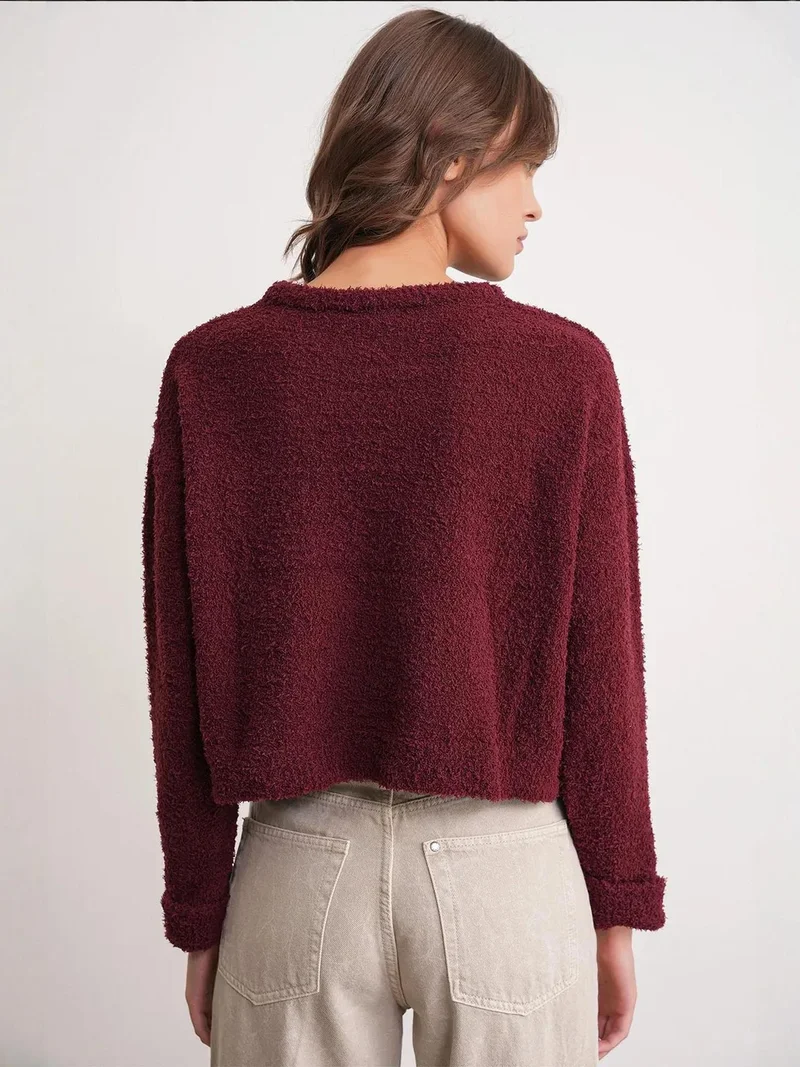Mixray Burgundy Red Mixray Plush Textured Crop Knit Sweater for Women | Best Price UAE