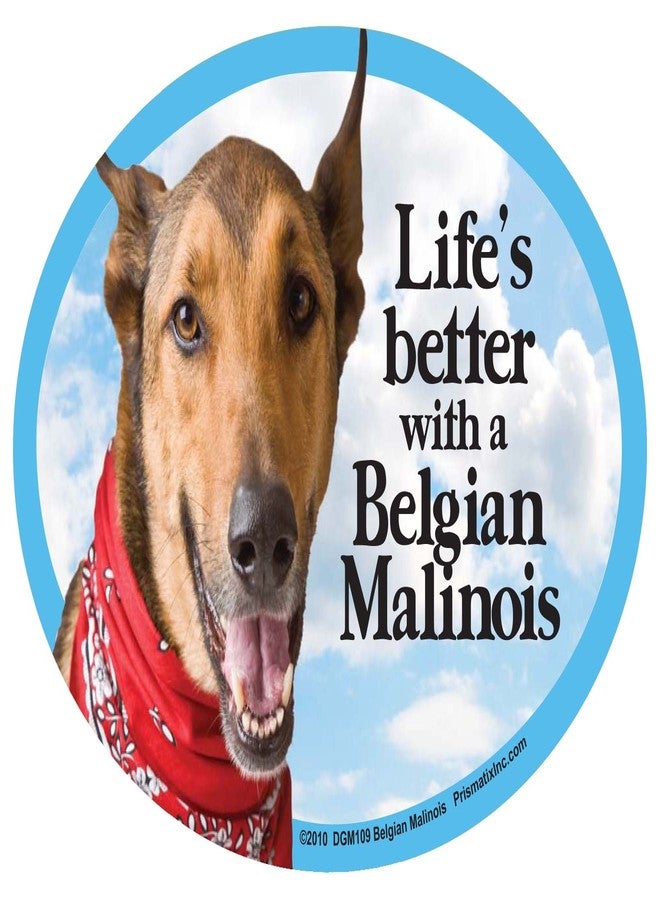 Prismatix Belgian Malinois Oval Dog Magnet for Cars - Image 1