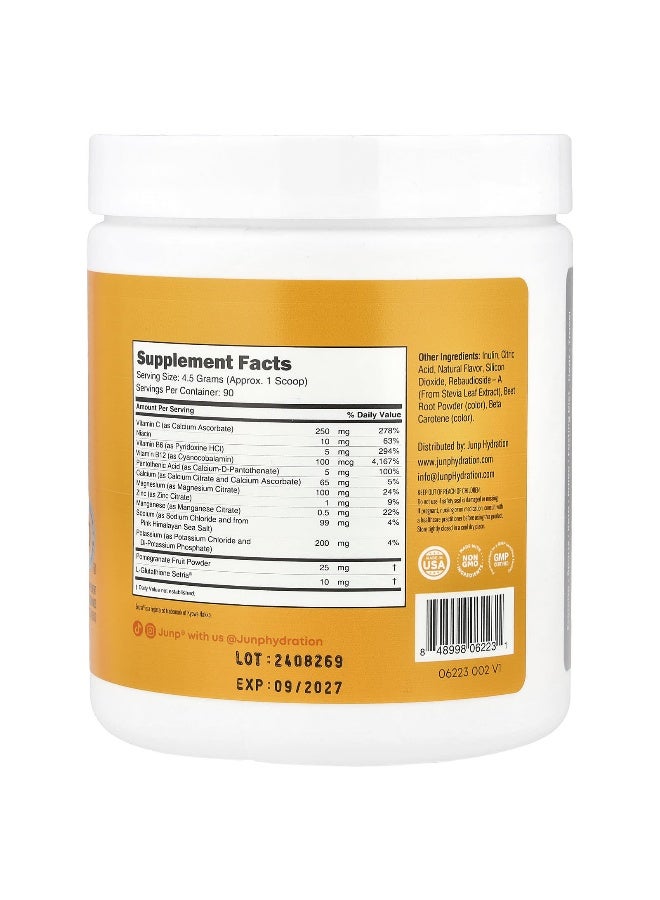 JUNP Hydration, Electrolyte Powder Mix, Orange, 14.2 oz (405 g) (Packaging may vary) - Image 2