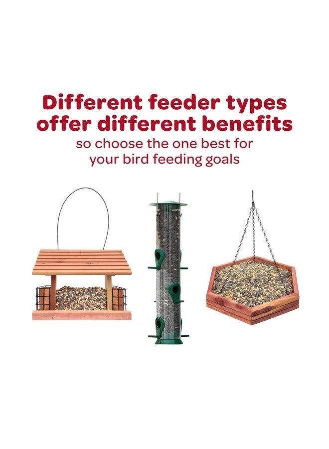 Kaytee All American Wild Bird Food Seed Blend, 5 Pound - Image 5