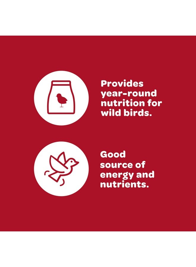 Kaytee All American Wild Bird Food Seed Blend, 5 Pound - Image 4