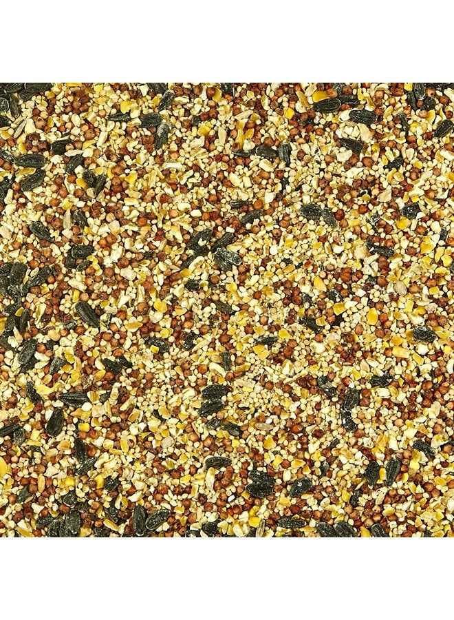 Kaytee All American Wild Bird Food Seed Blend, 5 Pound - Image 3