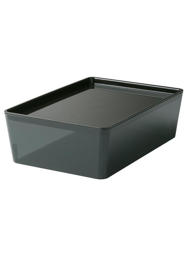 erorex Box With Lid Transparent Black 18X26X8 Cm - Image 1