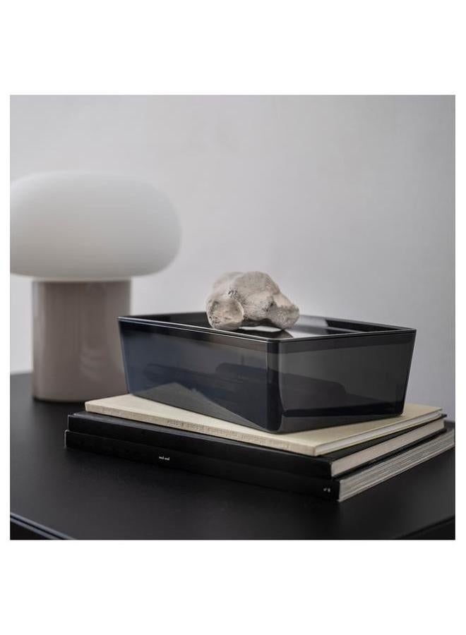 erorex Box With Lid Transparent Black 18X26X8 Cm - Image 2