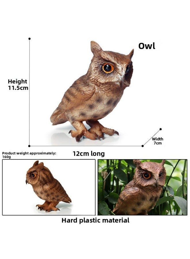 Children's Simulation Animal Toy Model Eagle Golden Eagle Peregrine Falcon Snake Vulture Bald Eagle Owl Cognitive Gift Ornaments