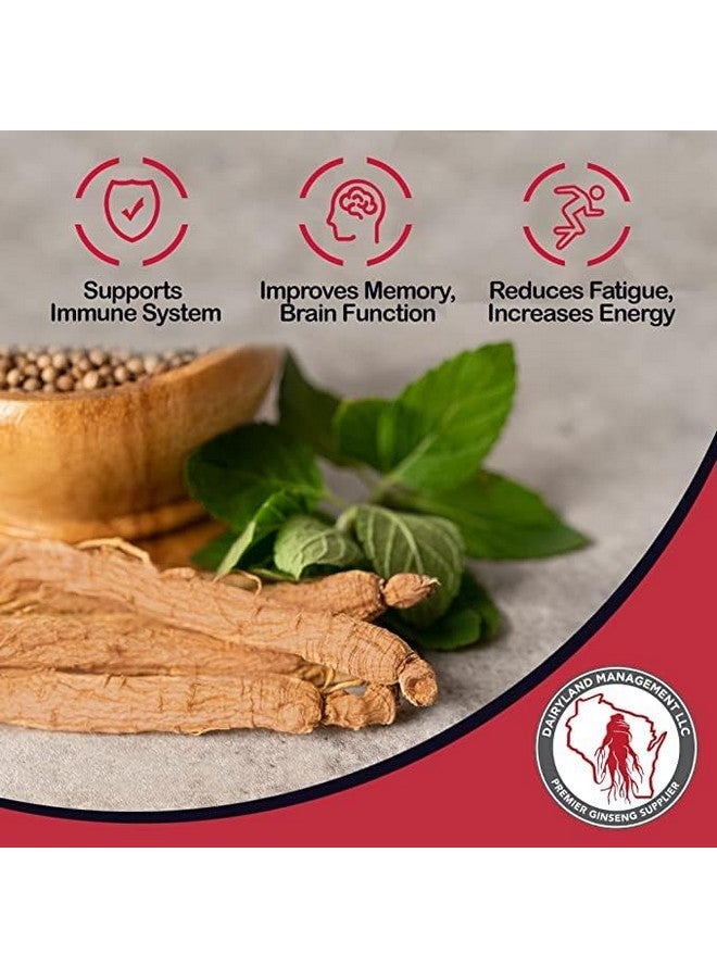 Dairyland Management LLC Red Panax Ginseng Powder with Natural Ginsenosides (4 oz)- Supports Healthy Energy, Vitality, Mood and More, Korean Panax Ginseng Root Powder for Smoothies, Coffee or Drinks (1 Pack) - Image 4