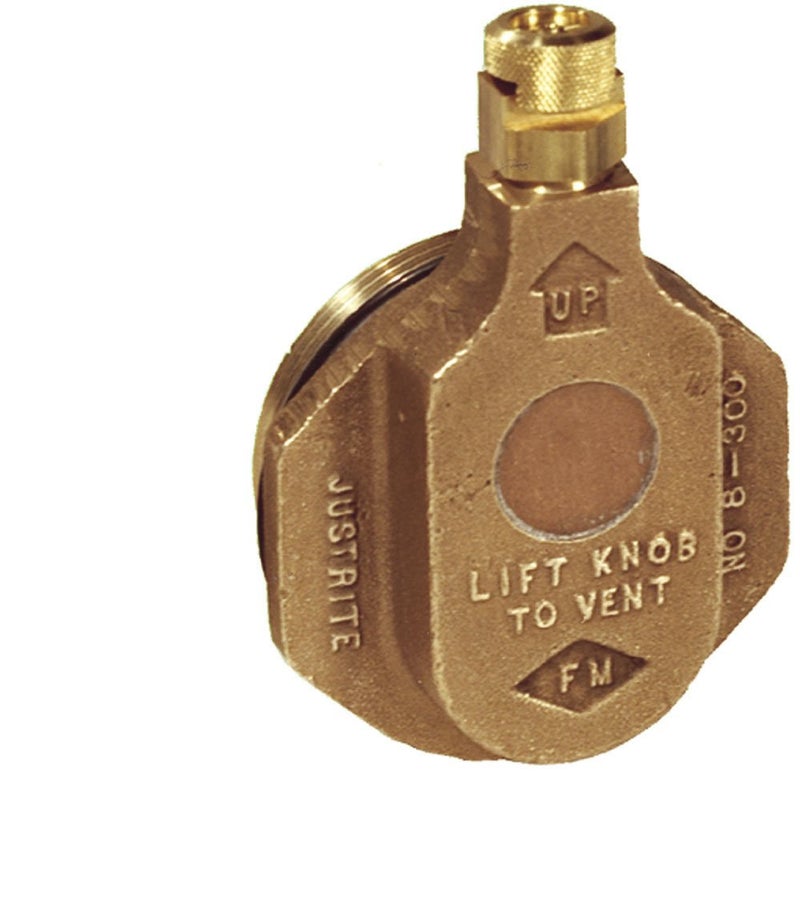 08300 2" Npt Brass End of Drum Brass Bung Vent