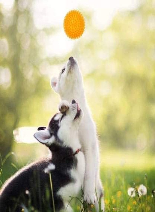 Pups&Pets كرة شائكة متينة للكلاب من Pups&Pets EETOYS، لعبة تصدر صوتاً لتنظيف الأسنان والتدريب ولعب جلب الكرة - لون برتقالي، حجم كبير - Image 2