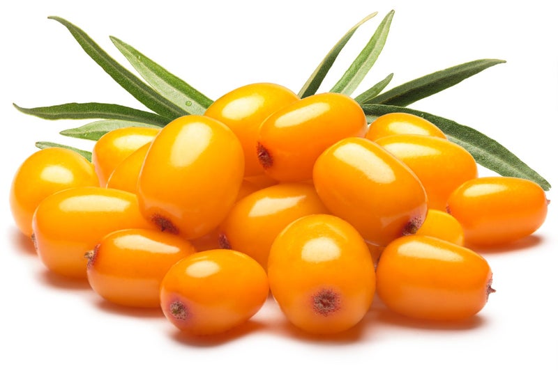 US Organic زيت توت البحر العضوي الأمريكي (فاكهة) ، مستخرج باستخدام ثاني أكسيد الكربون الفائق ، معتمد من وزارة الزراعة الأمريكية ، 100% نقي وعذري ، غير مكرر في زجاجة زجاجية كهرمانية ، للوجه والشعر وعلاج البقع ومكافحة الشيخوخة ، 1 أونصة (30 مل) - Image 3