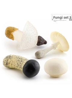 Simulation Fungus Mushroom Model Lentinus Edodes Long Skirt Bamboo Mushroom Poisonous Rope Umbrella Real Agaricus Mushroom Matsutake Amanita Mushroom Ornaments-Color:Fungi Set 3 102g