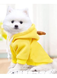 KASTWAVE Pet Clothes Dog Pet Cosplay Dress Cute Carrot Shape Warm Jacket Pet Cold Weather Sweatshirt Clothes Outfit Outerwear  - Image 2