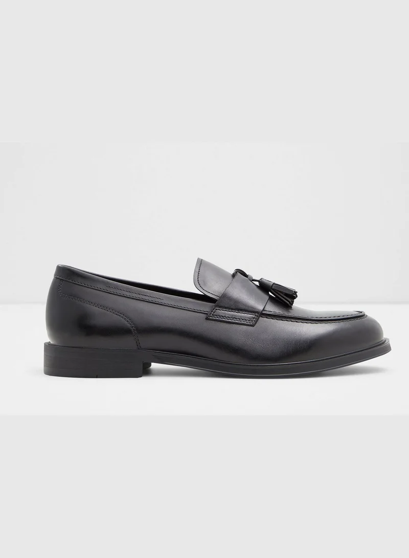 ALDO Igan Slip-on Casual Tassel Loafers