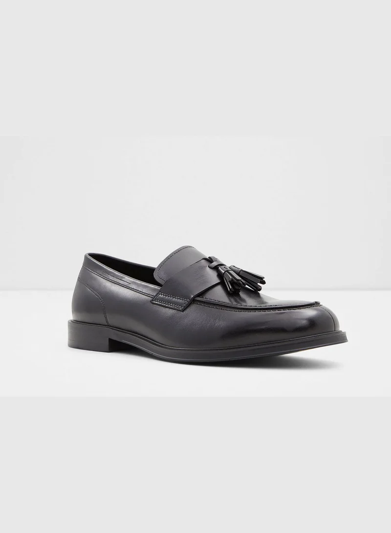 ALDO Igan Slip-on Casual Tassel Loafers