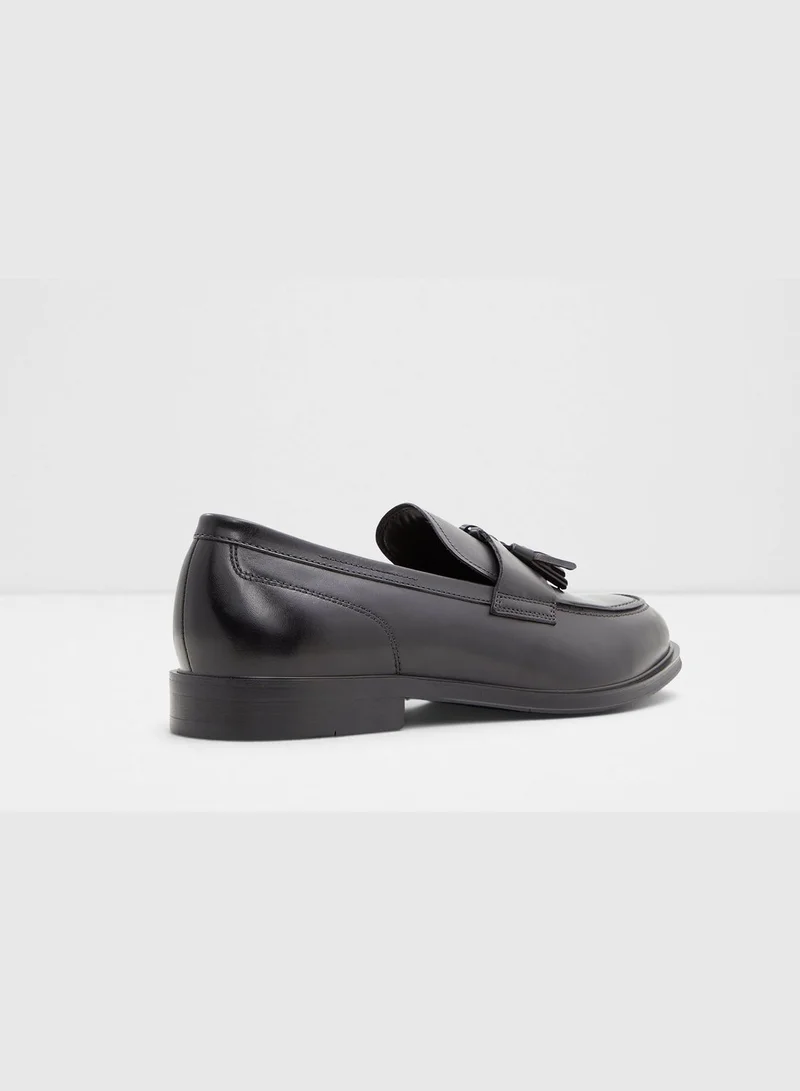 ALDO Igan Slip-on Casual Tassel Loafers