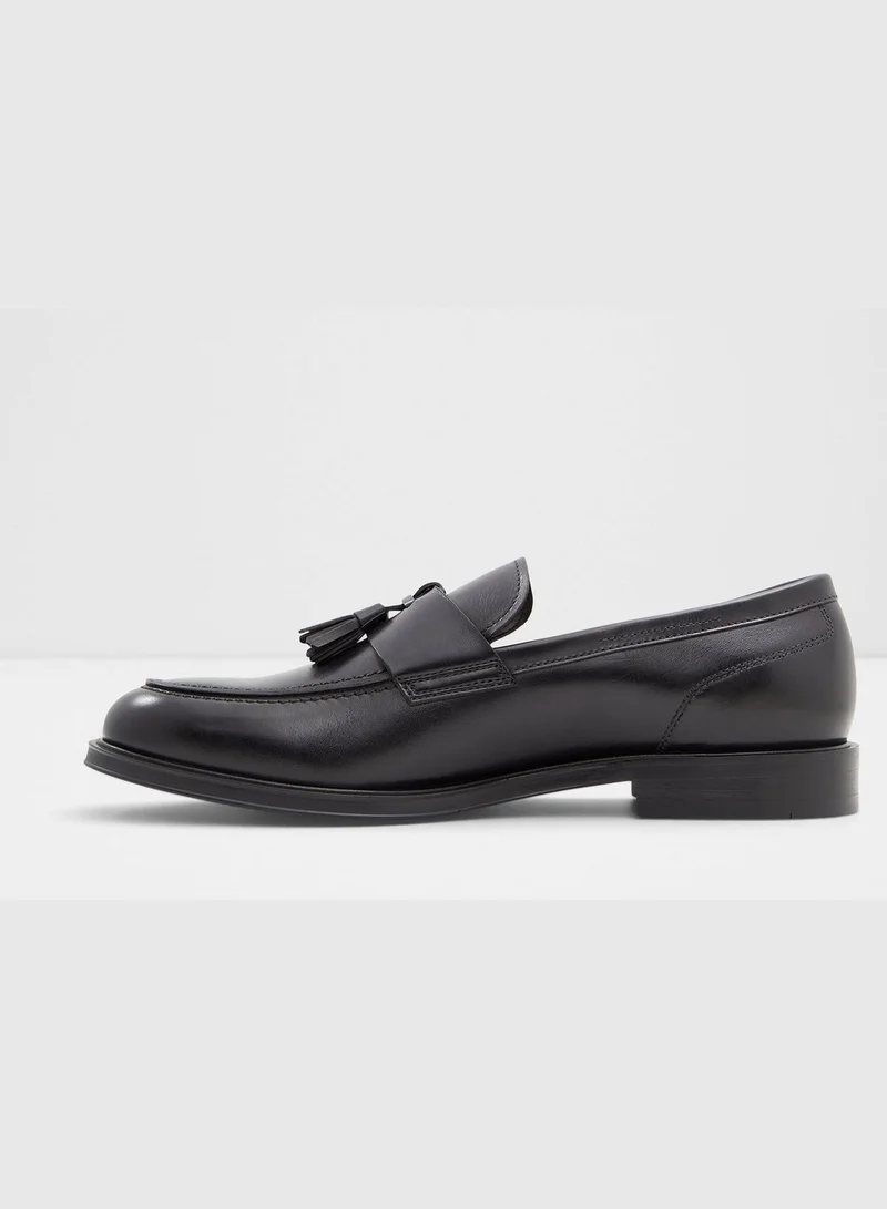 ALDO Igan Slip-on Casual Tassel Loafers