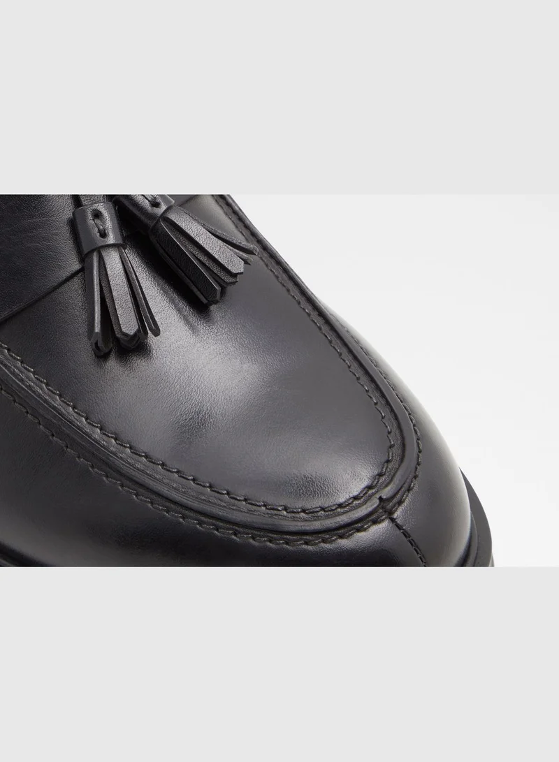 ALDO Igan Slip-on Casual Tassel Loafers