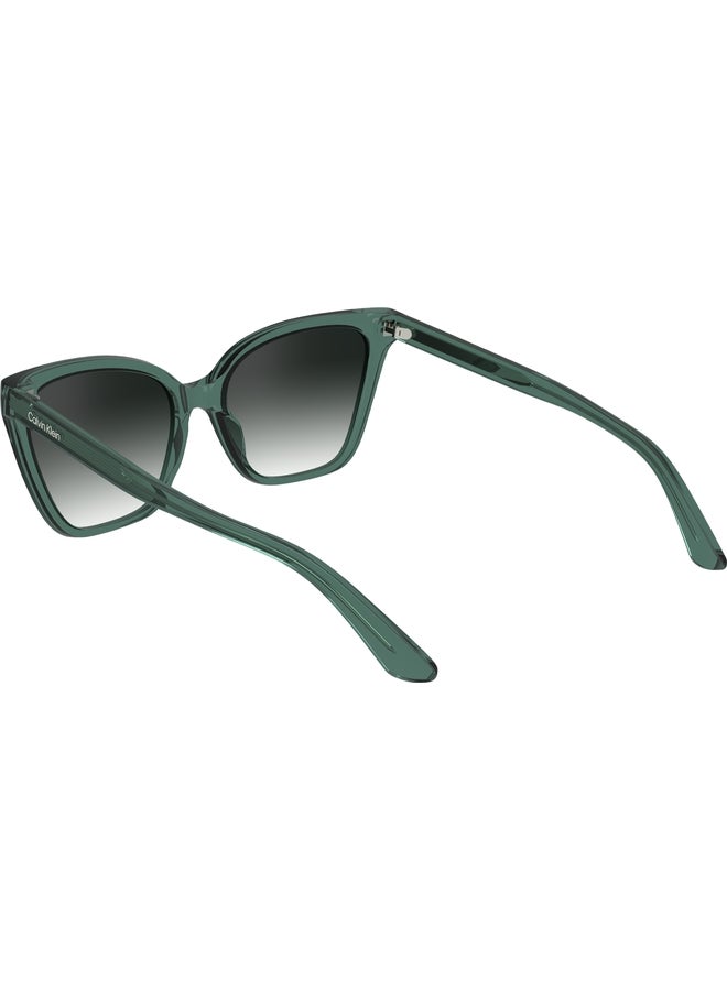 CALVIN KLEIN FULL RIM BIO INJ-G820 CAT EYE CALVIN KLEIN SUN CK24507S N 5717 (338) MINT - Image 3