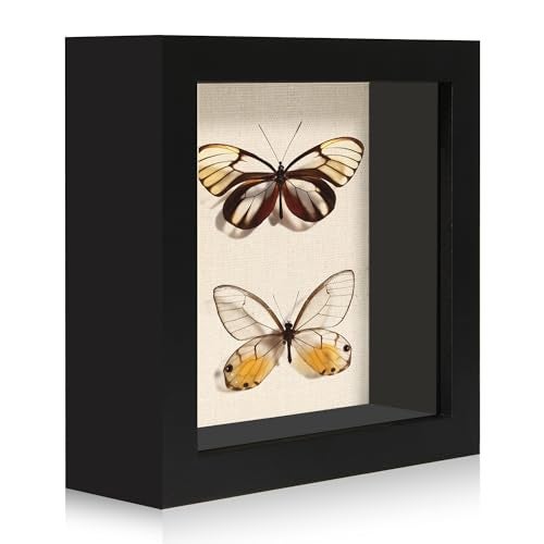 CCDCC 5x5 Small Shadow Box Picture Frame Display Case with Soft Linen Back Black Wooden Memory Shadow Box Frame with Tempered Glass Cover for Wall or Tabletop Display