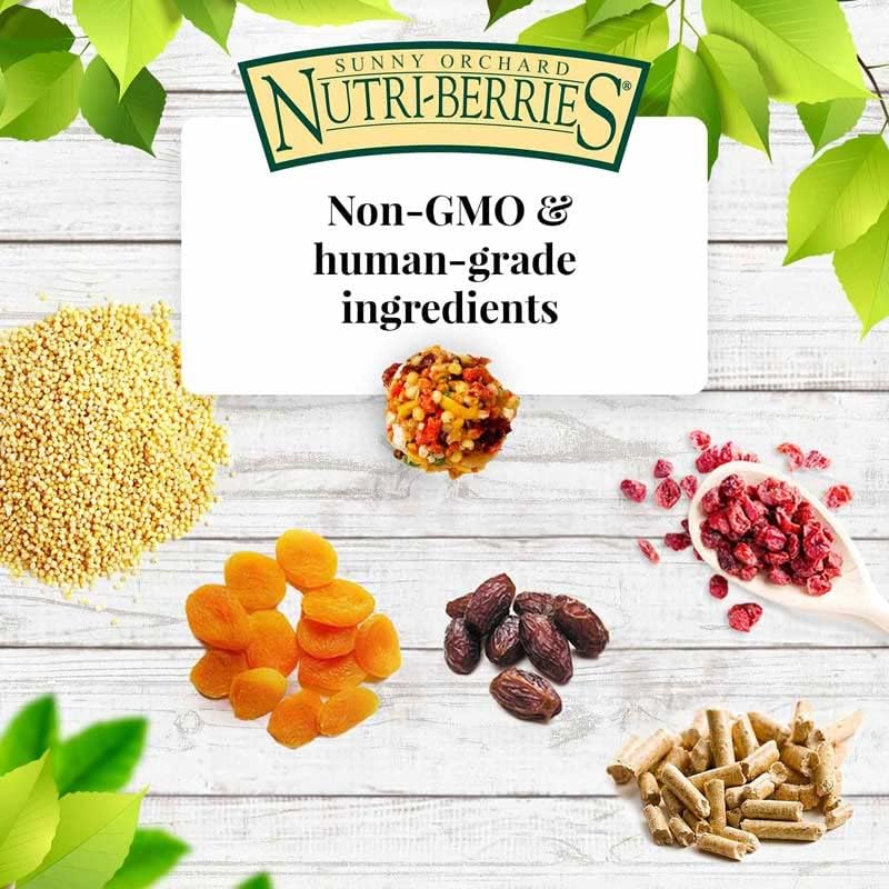 ليفبير طعام الطيور الأليف LAFEBER'S Sunny Orchard Nutri-Berries، مصنوع من مكونات غير معدلة وراثيًا ومن الدرجة الصالحة للاستخدام البشري، مناسب للكوكاتيلات والكونورات والباراكيتات والبادجيز وطيور الحب (عبوة Sunny Orchard سعة 10 أونصات، تحتوي على 2 عبوات). - Image 4