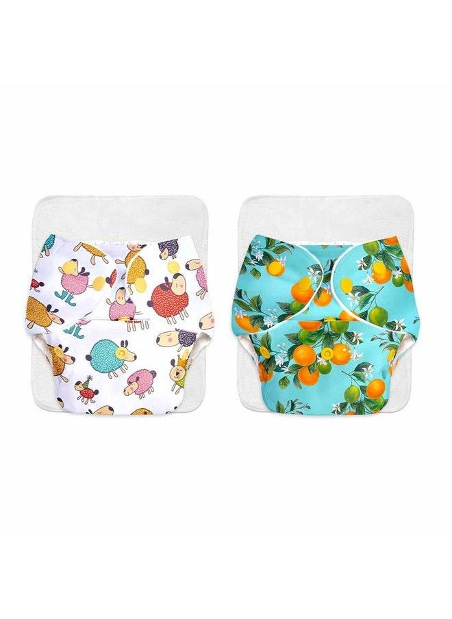 Superbottoms 2 Basic Assorted Reusable Cloth Diaper For Babies 0 3 Years ; Freesize Adjustable Washable & Organic Baby Diapers For Day Time Use (Comes With Quick Dry Foladable Dry Feel Pad;Soaker;Insert)  - Image 2