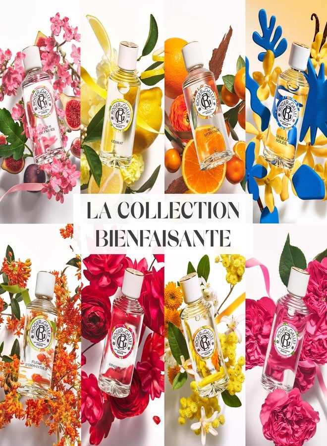 ROGER & GALLET Roger&Gallet Cologne Twist Shaving Bar 100g - Image 5