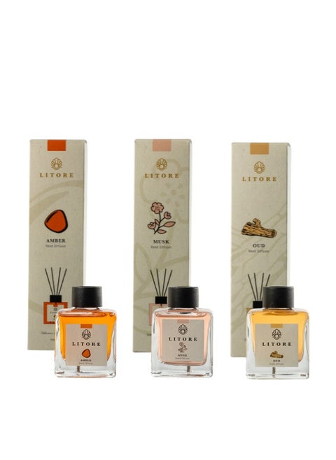 Litore Reed Diffuser - Oud, Amber and  Musk Fragrance, 100ml,  3 Pack | Long-Lasting Home Fragrance | Natural & Elegant Room Diffuser