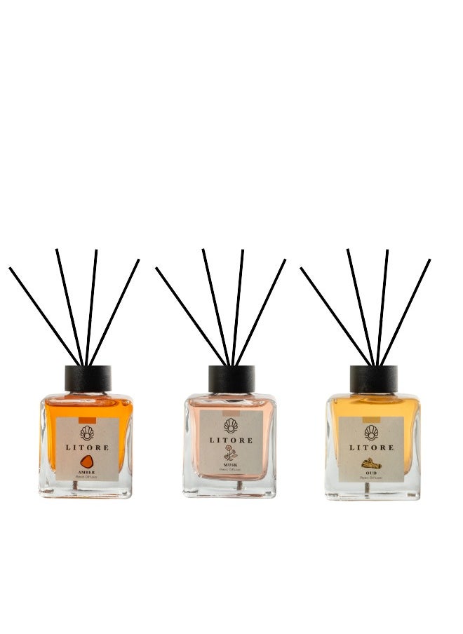 Litore Reed Diffuser - Oud, Amber and  Musk Fragrance, 100ml,  3 Pack | Long-Lasting Home Fragrance | Natural & Elegant Room Diffuser