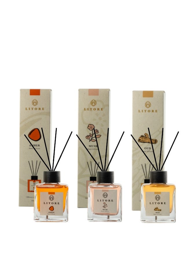 Litore Reed Diffuser - Oud, Amber and  Musk Fragrance, 100ml,  3 Pack | Long-Lasting Home Fragrance | Natural & Elegant Room Diffuser