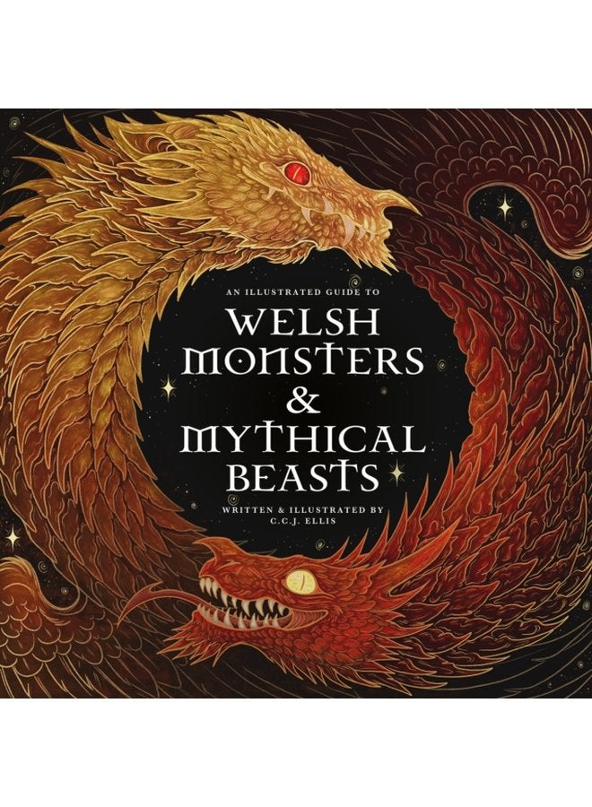 Welsh Monsters Mythical Beasts A Guide to the Legendary Creatures from Celtic Welsh Myth and Legend - Hardback