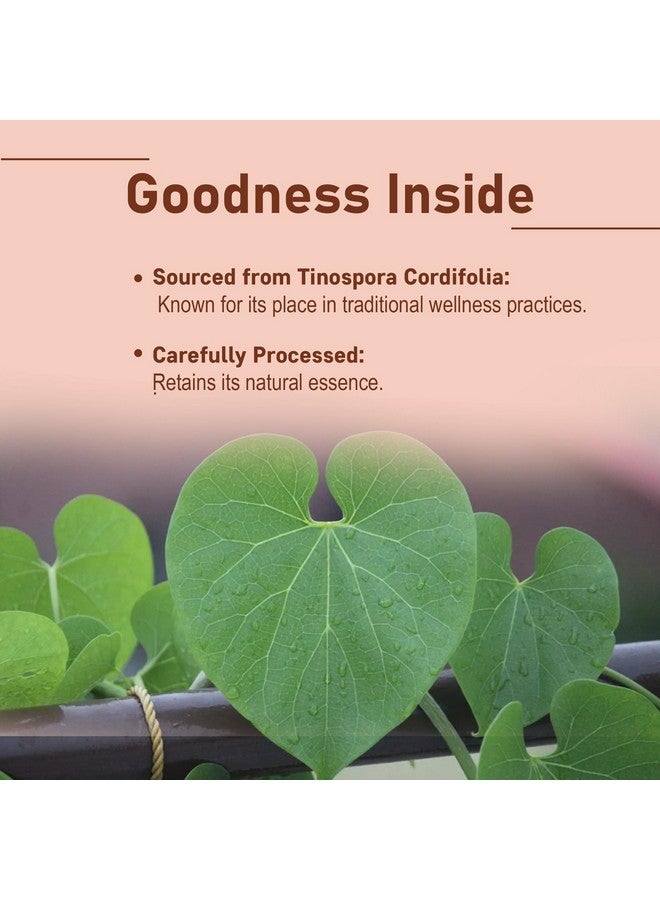 minature Guduchi (Giloy) Powder | (Tinospora Cordifolia) | Supports Healthy Digestion | Immunity Booster| Indian Giloy Powder | Resealable Zip Lock Pouch | 227g (8oz) - Image 2