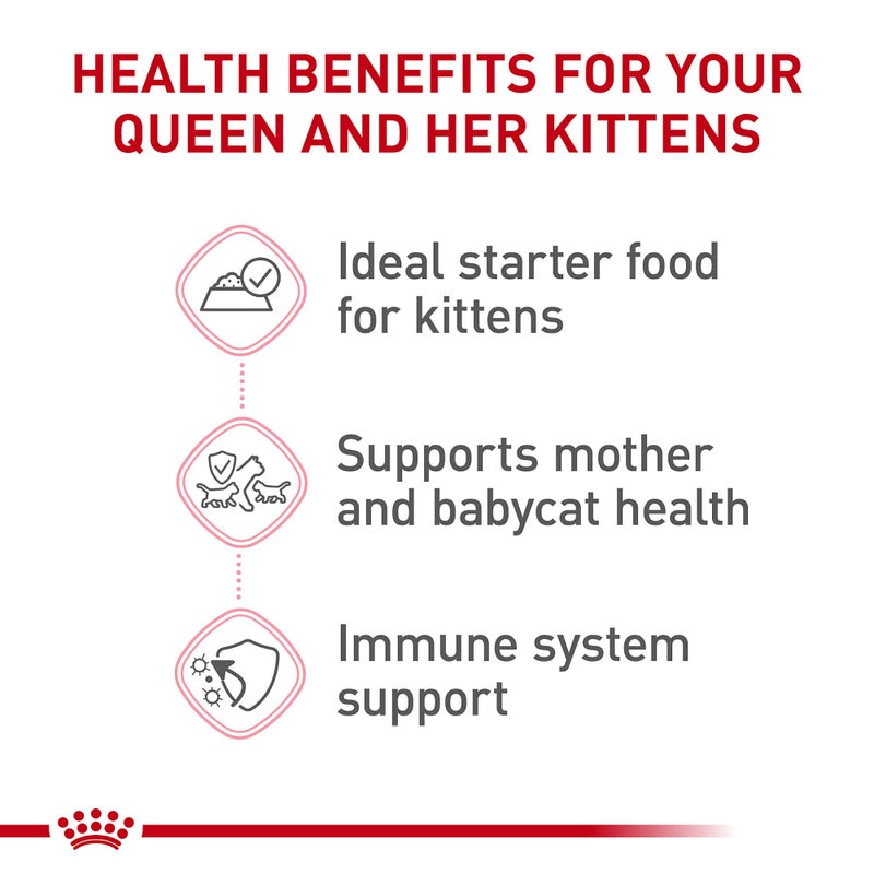 Royal Canin Feline Health Nutrition Mother & Babycat Queen Ultra Soft Mousse in Sauce Cat Food, 5.1 oz (Pack of 24) - Image 3