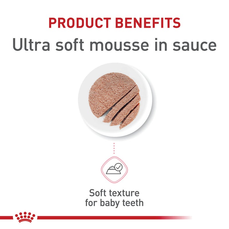 Royal Canin Feline Health Nutrition Mother & Babycat Queen Ultra Soft Mousse in Sauce Cat Food, 5.1 oz (Pack of 24) - Image 2