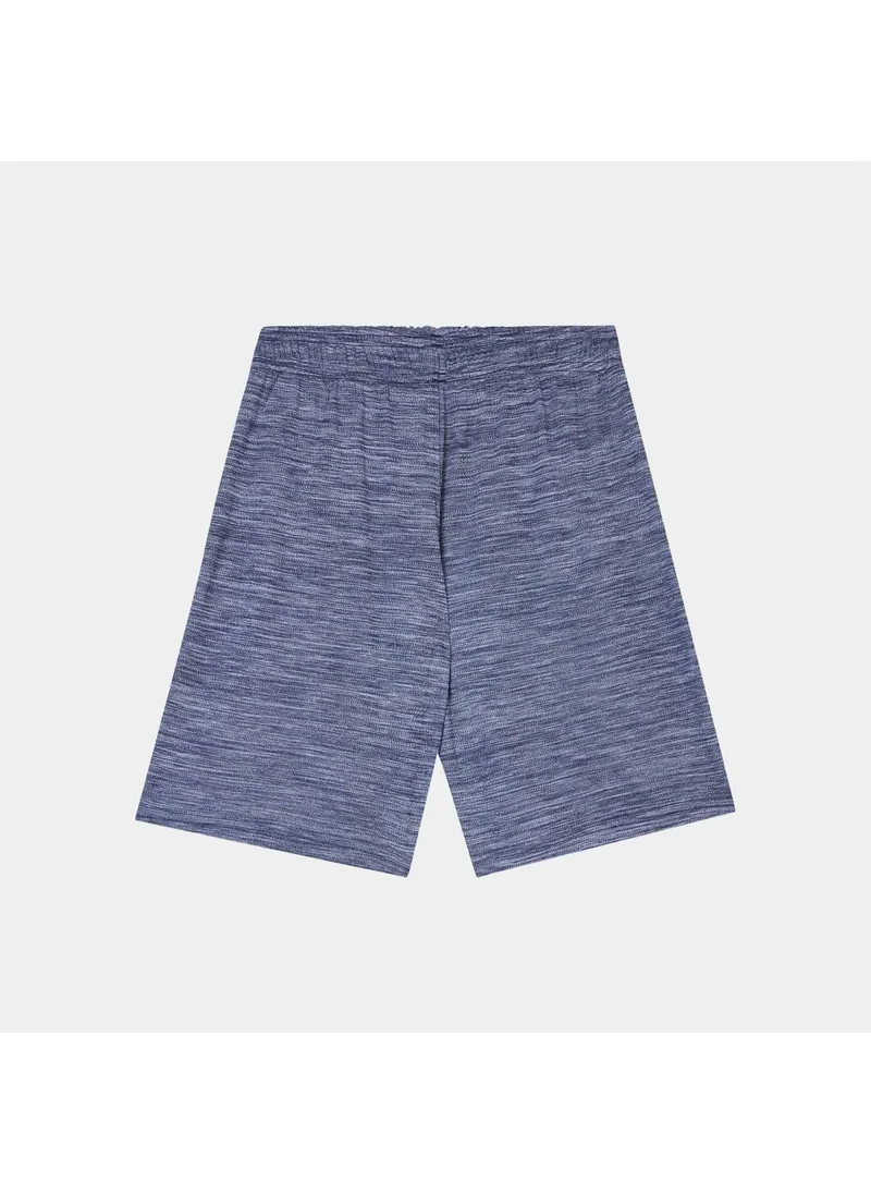 UNDER ARMOUR Kids' Prototype 2.0 Wordmark Shorts
