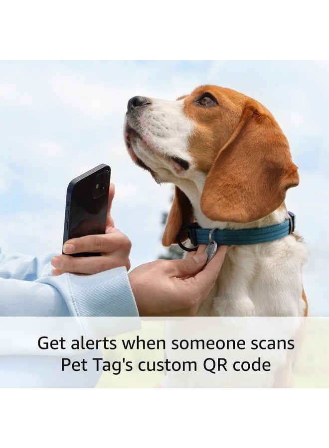 Ring Pet Tag | Easy-to-use tag with QR code | Real-time scan alerts | Shareable Pet Profile | No subscription or fees - Image 2