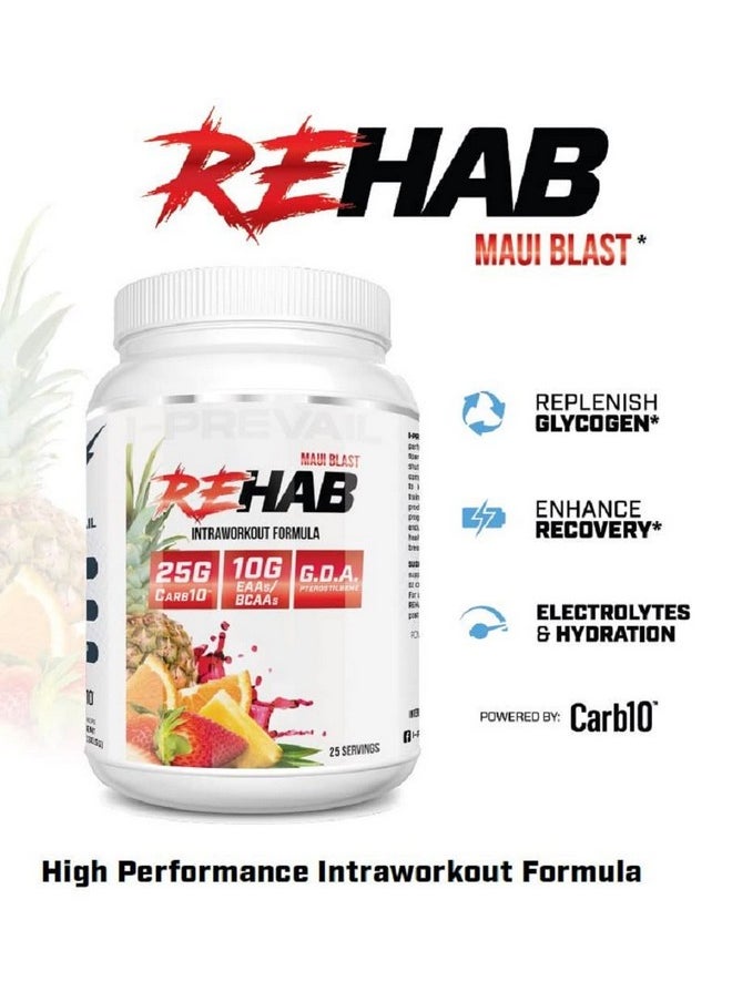 Health & Household - I-Prevail Supplements Rehab High Performance Intraworkout Formula 10G Bcaa & Eaa - Carb10 | Enhance Recovery & Hydration | Keto Friendly | 25 Servings (Blueberry Lemonade, 25 Serving) - Image 1