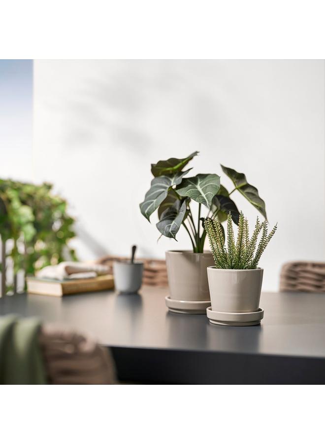 إيروريكس نبات صناعي في وعاء، داخلي/خارجي، هيذر، 9 سم - Image 5