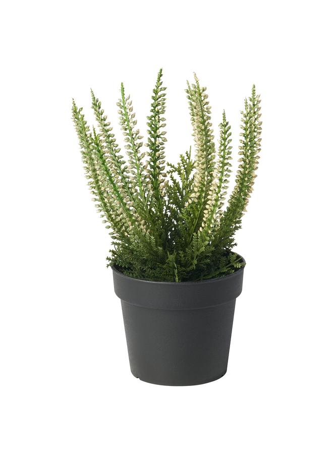 إيروريكس نبات صناعي في وعاء، داخلي/خارجي، هيذر، 9 سم - Image 1