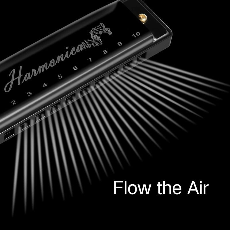 Hricane Harmonica 10 Holes 20 Tunes Mouth Organ Blues Deluxe Harmonica, Key of C Major for Beginner, Adults, Kids Gift, Professional with Case and Cleaning Cloth - Image 4