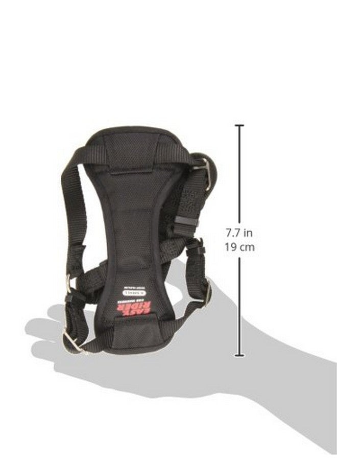 كوستال - إيزي رايدر - حزام سيارة قابل للتعديل للكلاب، أسود، مقاس XSM (12-18 بوصة) - Image 2