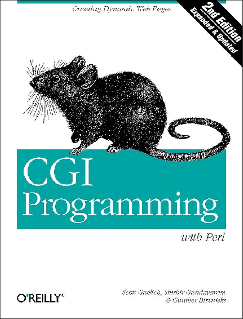 CGI Programming with Perl: Creating Dynamic Web Pages