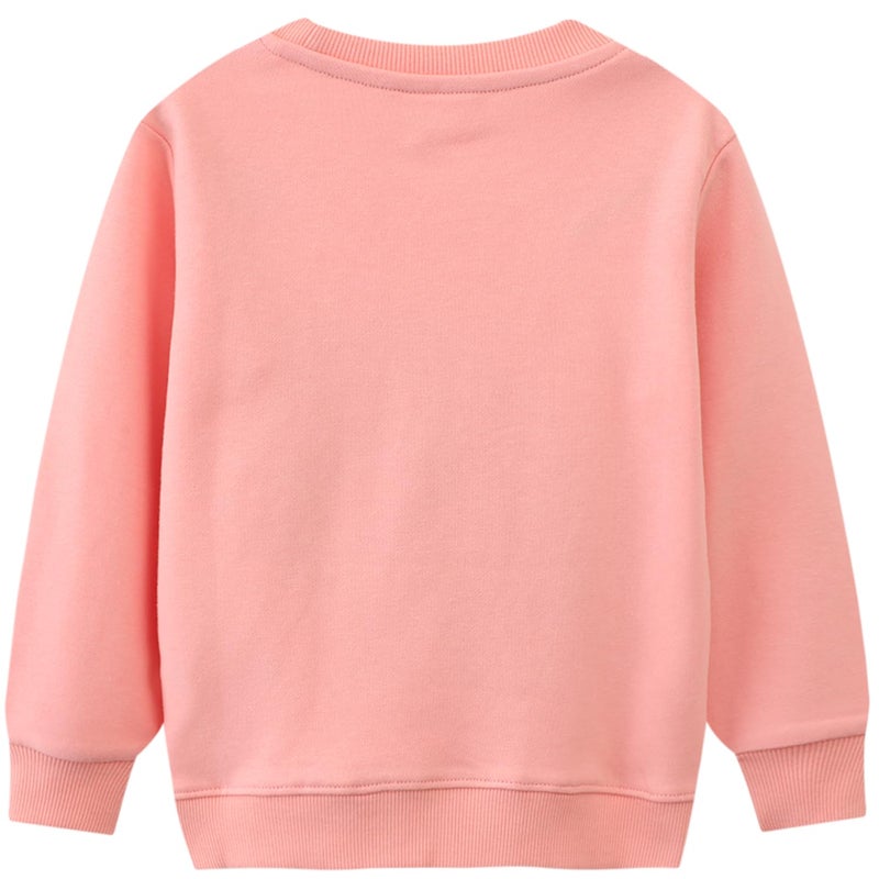 Bumeex Toddler Kids Girls Sweatshirt Long Sleeve Shirt,Unicorn Dinosaur Fashion Sweater Clothing Outfits Clothes Pink 3t - Image 2